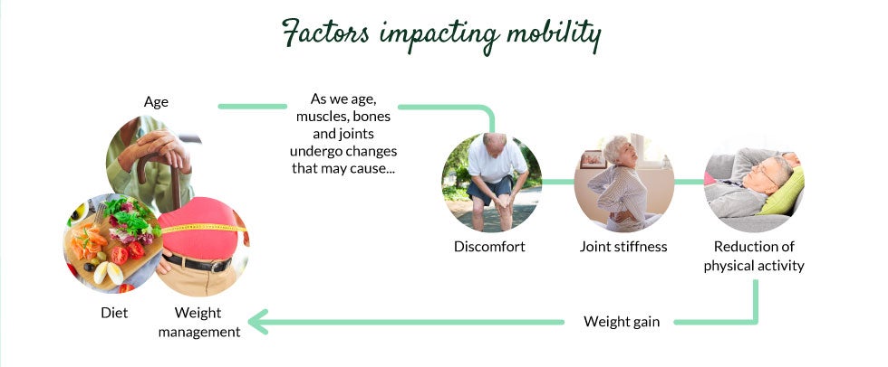 science, mobility, factors, exercise